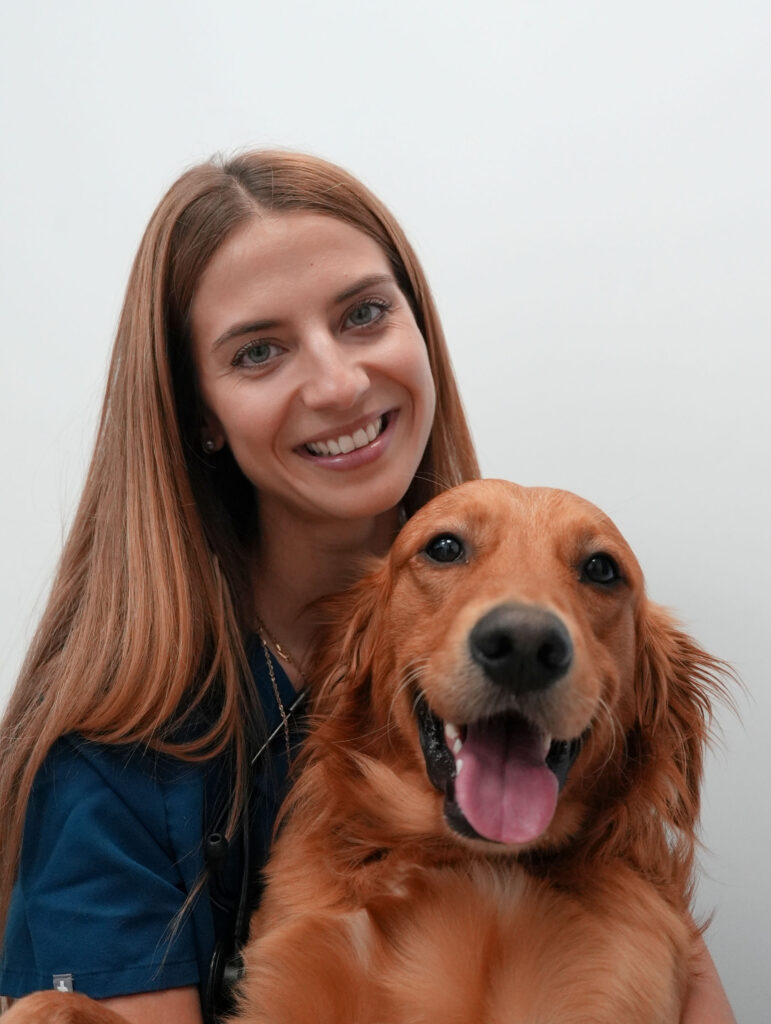 A veterinary surgeon at Elizavet hugs a dog at the veterinary practice.