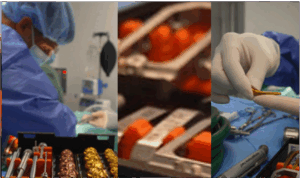 A collage of images showing equipment used in veterinary hip dysplasia surgery at Elizavet.