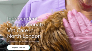 still image of video showing the Elizavet clinic