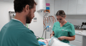 vet and nurse caring for a patient on a vet table