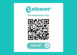 QR code for Elizavet pet health care plan