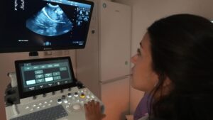 A veterinary surgeon looks at a screen in front of her showing an ultrasound image.