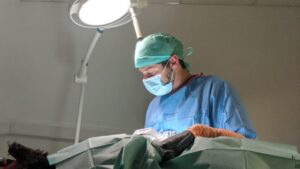 A veterinary surgeon stands over a patient with a light shining over him as he works.