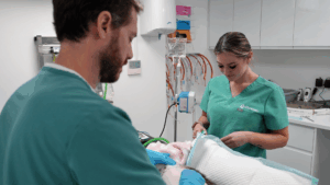 Two veterinary surgeons stand over a surgical table working on a patient.