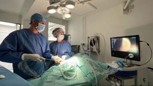 Two veterinary surgeons perform keyhole surgery while looking at a screen showing the surgery taking place.