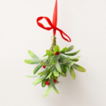 Could Mistletoe and Tinsel Put Your Pet in the Emergency Room?