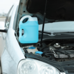 Key Signs of Antifreeze Poisoning from Our Vets in Maida Vale